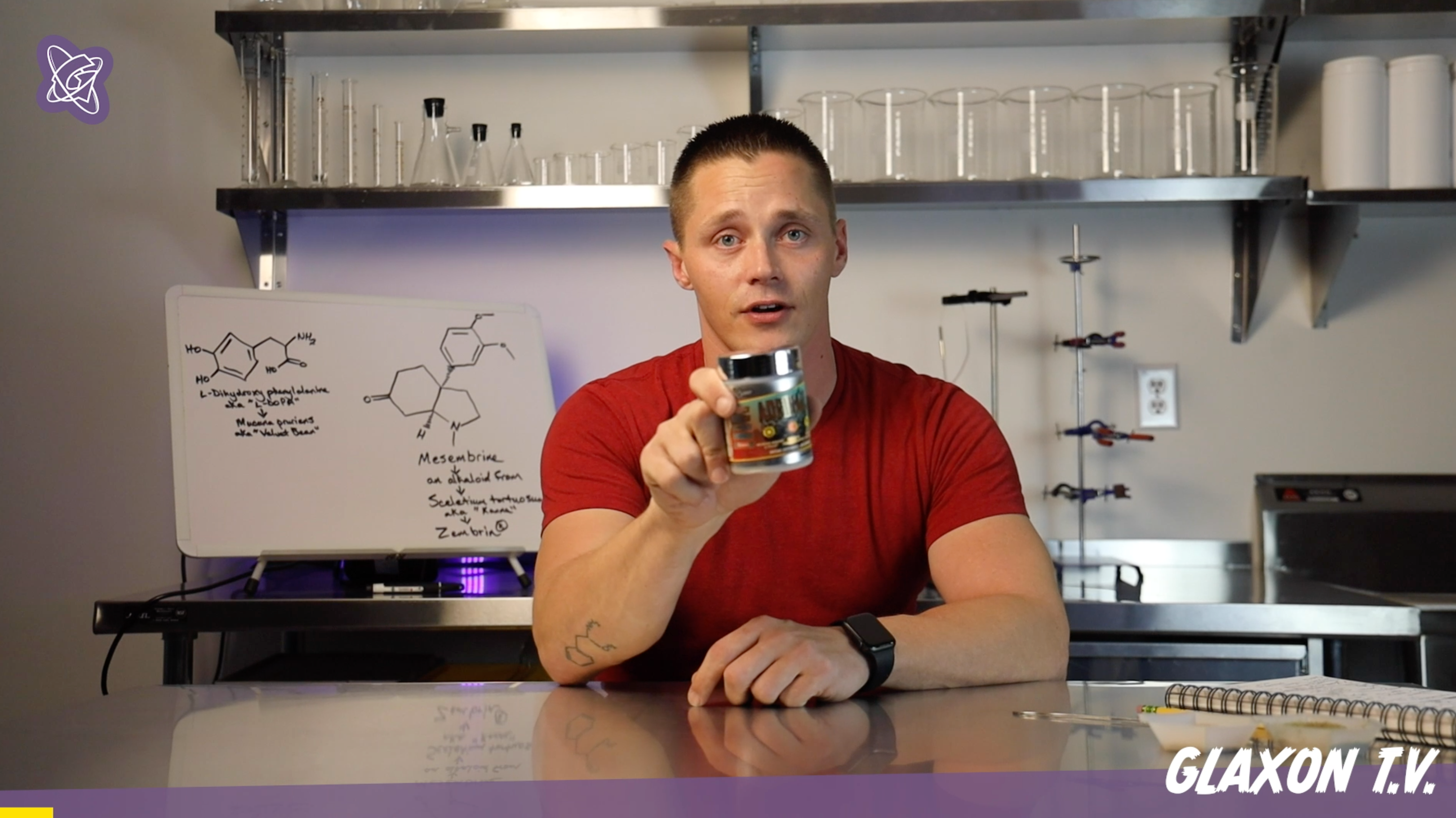 Glaxon Adrinall Nootropic Ingredient breakdown: Ingredients that positively affect Neurotransmitters - Glaxon