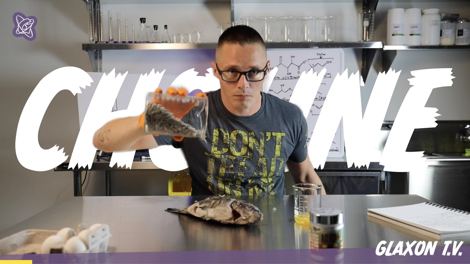 Adrinall Part 3: Choline - What is choline? - Glaxon